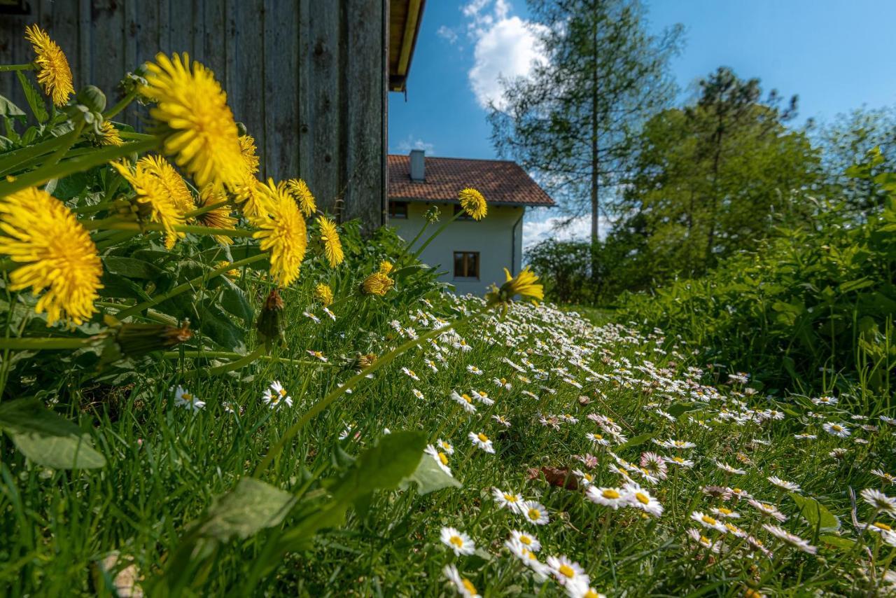 Ferienhaus Schlierachtal Miesbach Eksteriør bilde